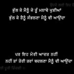 Sanu pyar jatauna nahi hunda || true love shayari || Punjabi status