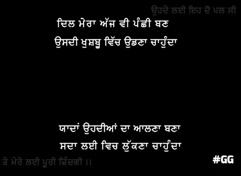 Romantic love shayari | Dil mera ajh v panchhi ban usdi khushbu vich udhna chahunda yaadan ohdiyaan da aalna bna sada lai vich lukna chahunda