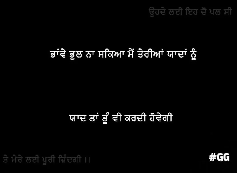 Bhanwe bhul na sakyaa me tariyaan yaadan nu yaad tan tuv kardi hovegi