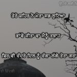 2 lines sad lonely Lines Punjabi || Tere shehar ne