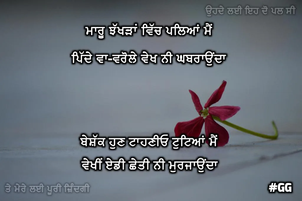 motivational punjabi shayari || Maaru jhakhrran vich plyaa main pide va-vrole vekh ni ghabraunda beshak hun tahniyo tuttiyaa main vekhi eddi chheti ni murjaunda