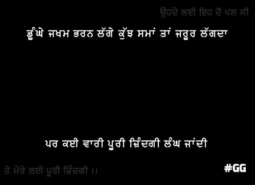Dhoonge jhakham bharn lagge kujh samaa tan lagda par kai vaari puri zindagi hi lang zandi