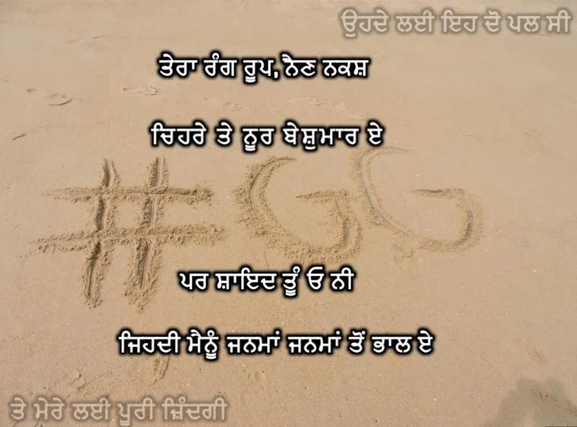 Tera rang roop, nain nakash chehre te noor beshumaar e par shayed tu oh ni jehdi mainu janmaan janmaan ton bhaal e