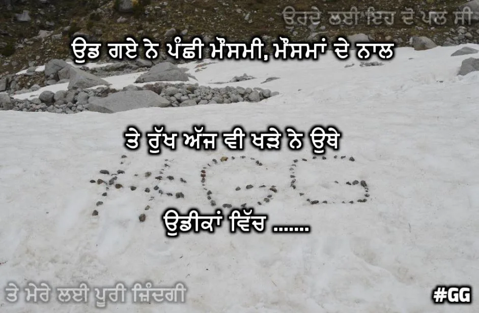 Udh gaye ne panchhi mausmi, mausamaan de naal te rukh ajh v khade ne uthe udeekan vich......