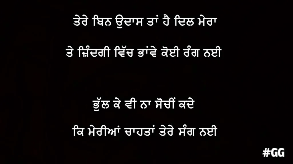 Tere bin udaas tan hai dil mera te zindagi vich bhawe koi rang nai bhul ke v naa sochi kade ke meriyaan chahtaan tere sang nai