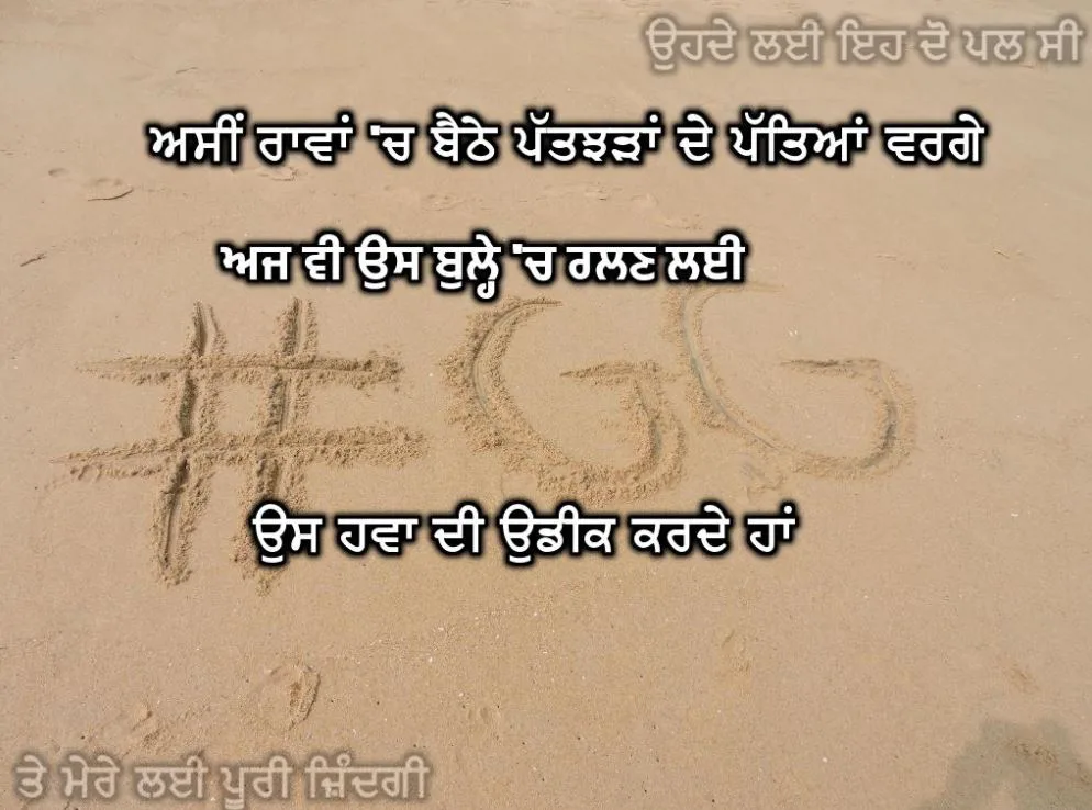 Asin rawaan ch baithe patjharran de pateyaan varge ajh v us bullhe ch ralln lai us hawa di udeek karde haan