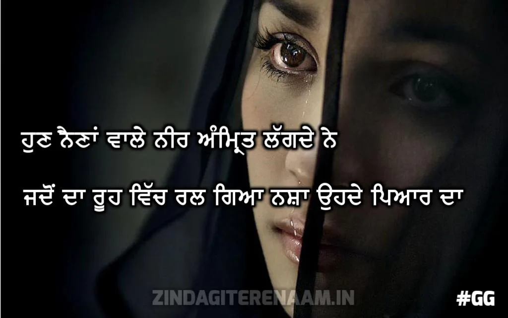 true love shayari punjabi | Hun naina wale neer amrit lagde ne jadon da rooh vich ral gya nasha ohde pyar da