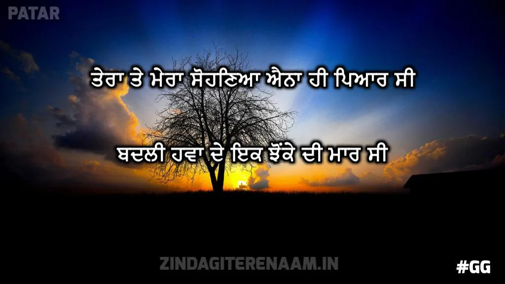 Dil di shayari | Tera te mera sohneyaa aina hi pyar c badli hawa de ik jhonke di maar c