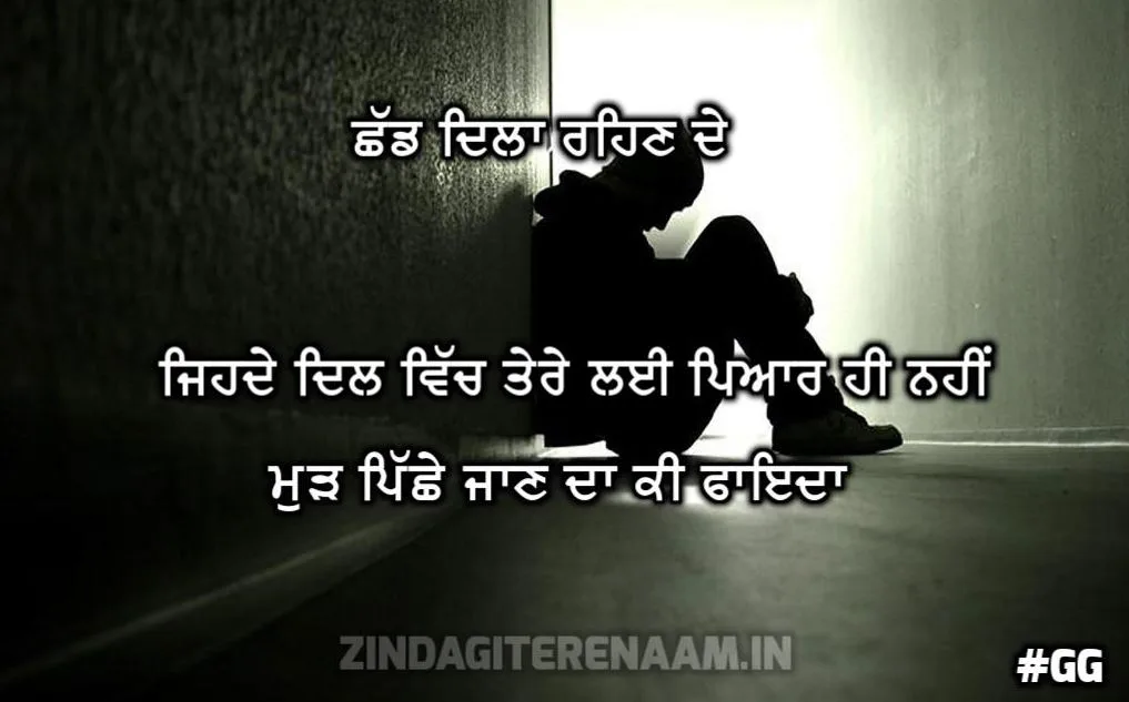 BHUL JA PUNJABI SHAYARI | Chhad dila rehn de ohde dil vich tere lai pyar hi nahi mudh pichhe jaan da ki faida