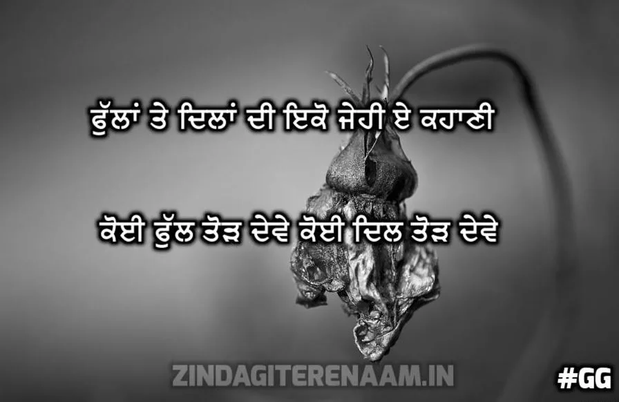 Heart broken | Fullan te dilan di eko jehi e kahani koi ful todh dewe koi dil todh dewe