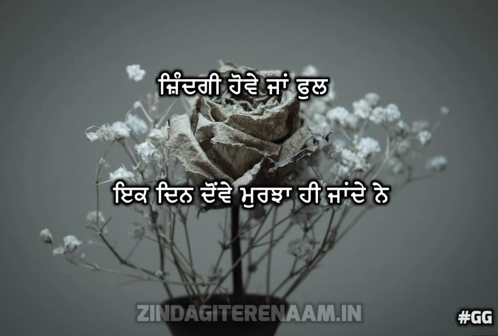 Sachi Zindagi Shayari | Zindagi howe ja ful ik din dowe murjha hi jande ne