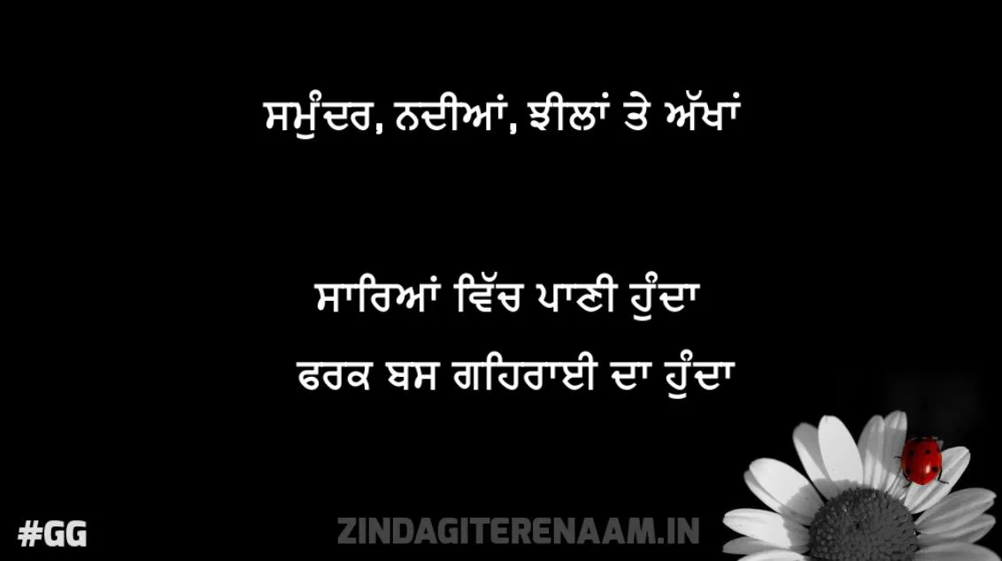 gehri soch wali shayari | samundar nadiyaan jheelan te akhan sareyaan vich pani hunda farak bas gehrai da hunda