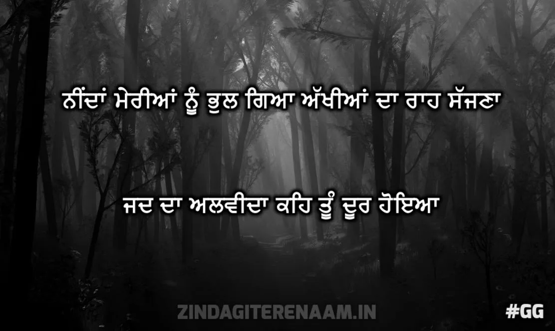 love true shayari | Neendan meriyaan nu bhul gya akhiyaan da raah sajhna jad da alwida keh tu door hoyea