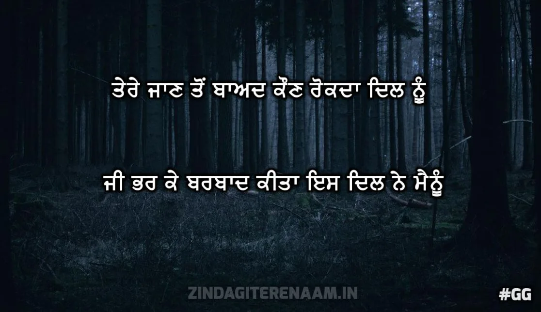 soulful 2 lines shayari | Tere jaan ton baad kaun rokda dil nu ji bhar k barbaad kita is dil ne mainu