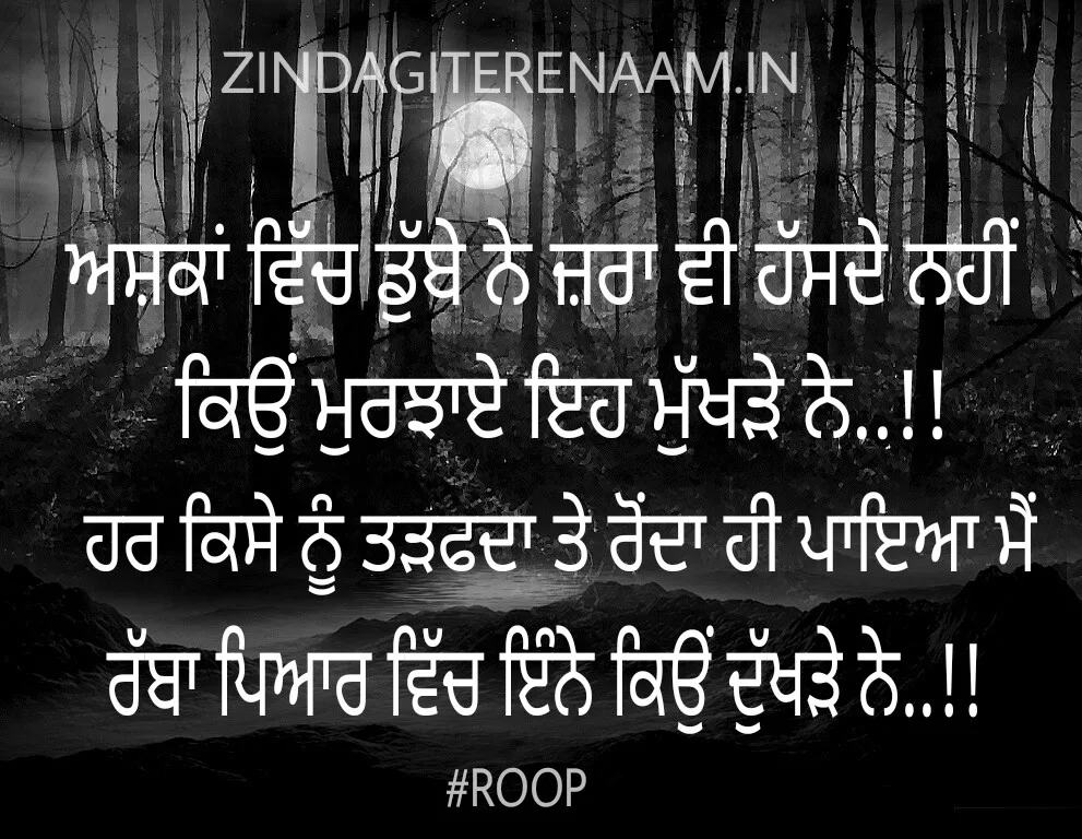 Sad shayari...true love