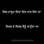 Mera yaar e duniya to vakhra jeha || Punjabi poetry || Punjabi kavita || love poetry