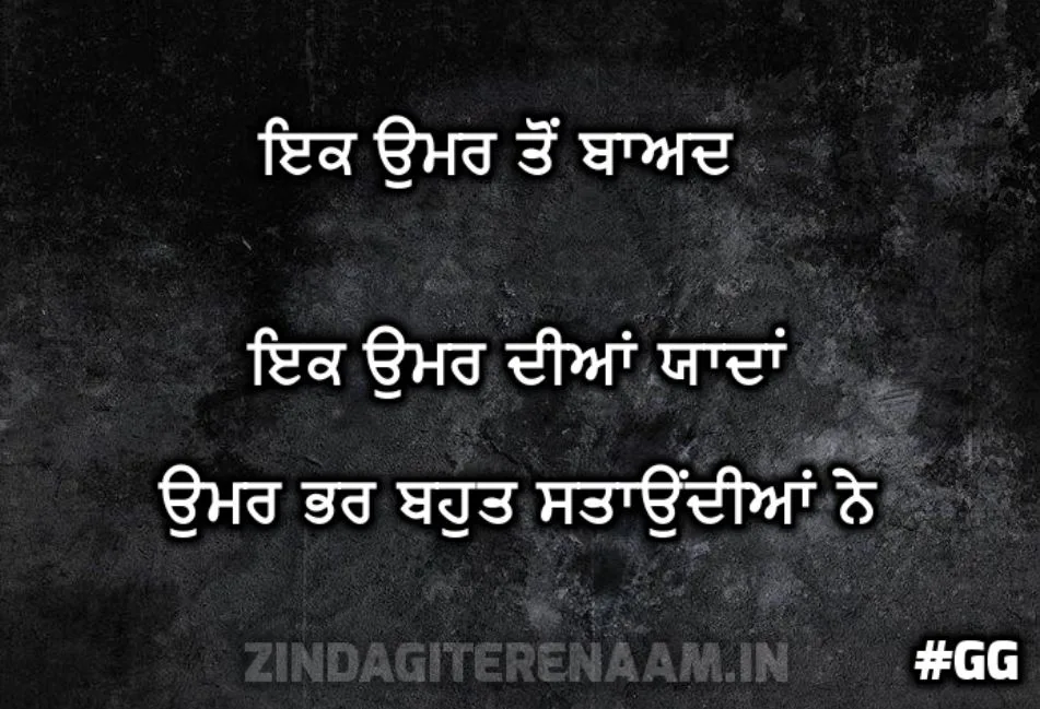 life shayari || Ik umar ton baad ik umar diyaan yaadan umar bhar bahut staondiyaan ne
