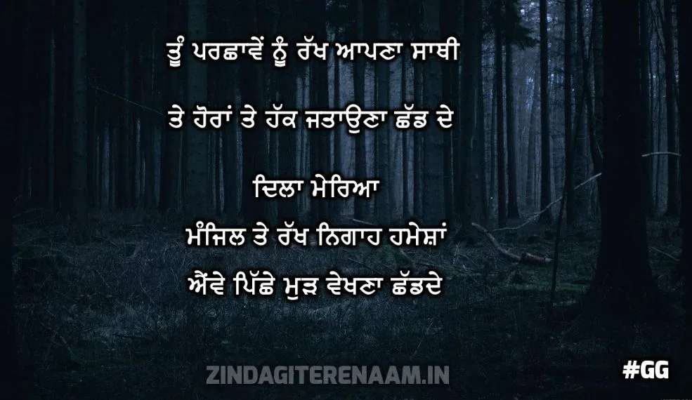 inspirational shayari punjabi || Tu parchhawe nu rakh aapna sathi te horaan te hak jatauna chhad de dila mereya manzil te rakh nigah hamesha awe pichhe mudh dekhna chhad de