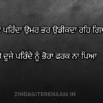2 lines sad shayari || Ik parinda umar bhar udeekda reh gya te dujhe parinde nu bhora farak na pya
