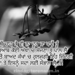 Dil te zor na koi || Punjabi love status || love shayari images