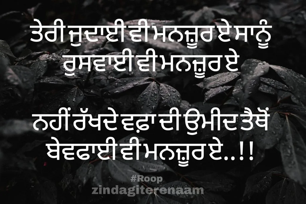 Punjabi sad shayari for lovers
Teri judaai vi manzoor e
Ruswaai vi manzoor e
Nahi rakhde wafa di umeed tethon
Bewafai vi manzoor e..!!