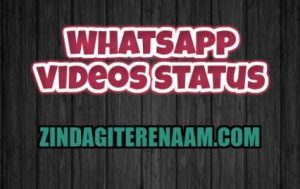 Whatsapp video status || view and download and share on whatsapp or facebook story