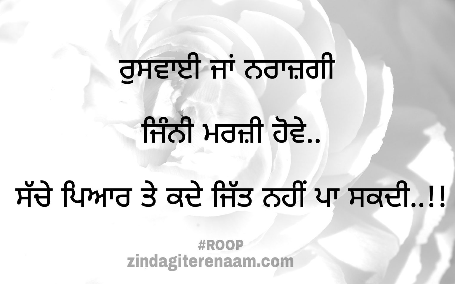 Best-punjabi-sad-love-shayari-sufi-quotes-true-lines - Zindagi Tere Naam