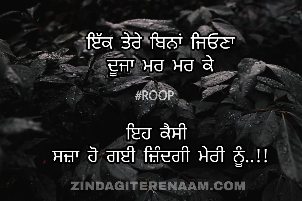 Tere Bina Jiona Sad Punjabi Status Alone Punjabi Shayari Images Zindagi Tere Naam