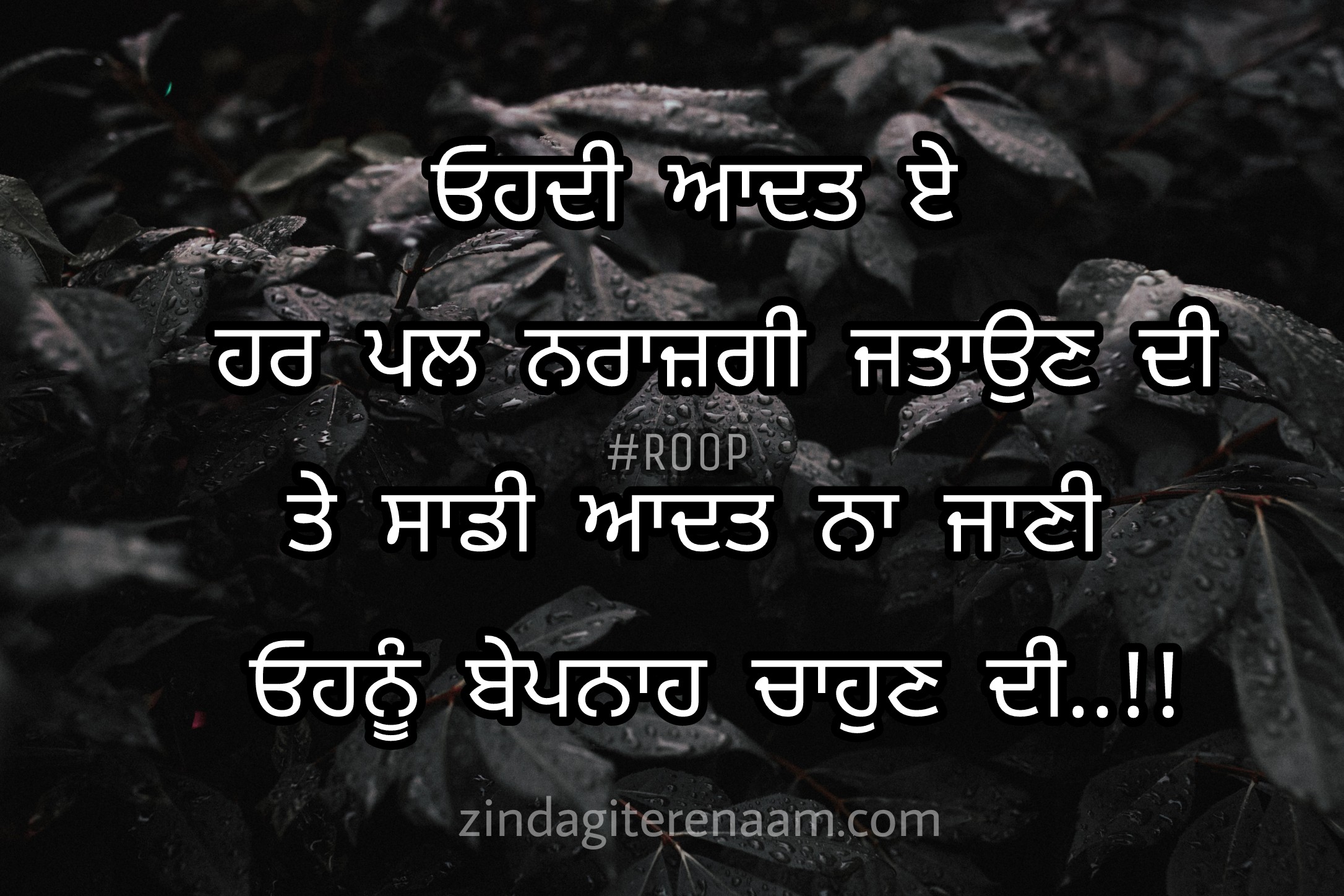 punjabi-shayari-love-status-sad-best-lines-mohobbat-pyar-zindagi-tere