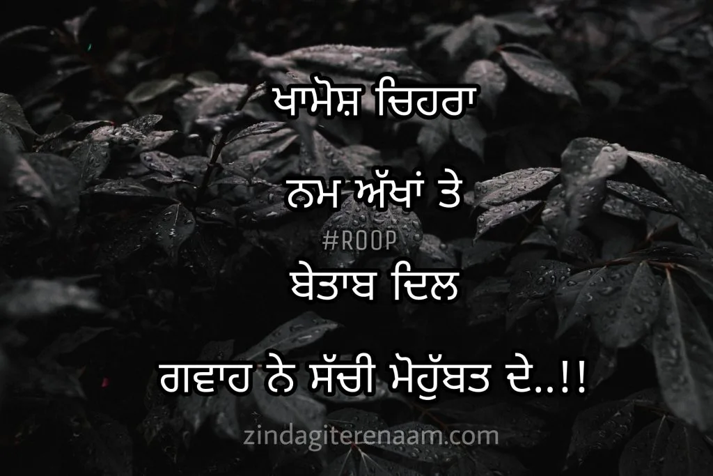 True love shayari images. Sacha pyar shayari images. SACHI mohobbat shayari images. Best shayari status.
Khamosh chehra nam akhan te betab dil
Gawah ne sachii mohobbat de..!!