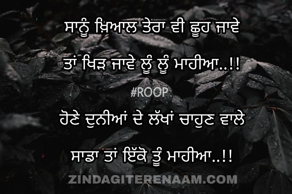 Punjabi shayari images. Best shayari images. Mohobbat shayari images. True love shayari images.
Sanu khayal tera vi shooh jawe
Ta khid jawe loo loo mahiya..!!
Hune duniya de lakhan chahun vale
Sada ta ikko tu mahiya..!!