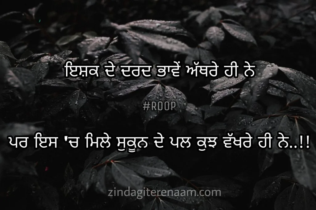 True love Punjabi shayari images. Best shayari images. Ghaint shayari images. Ishq shayari images. Love shayari images.
Ishq de dard bhawein athre hi ne..!!
Par es ch mile sukun de pal kuj vakhre hi ne..!!