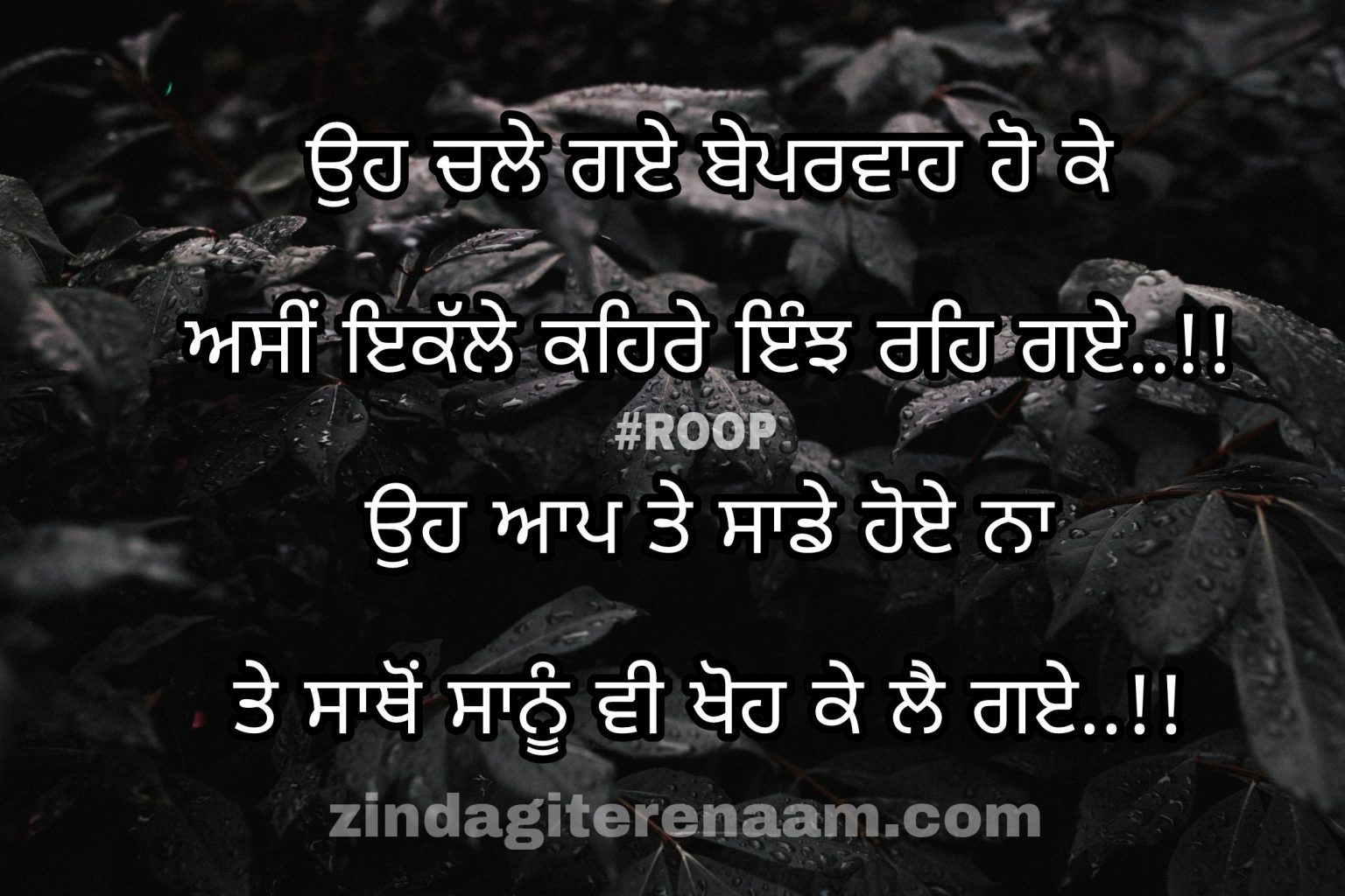 oh-chale-gaye-beparwah-ho-ke-sad-punjabi-shayari-shayari-images