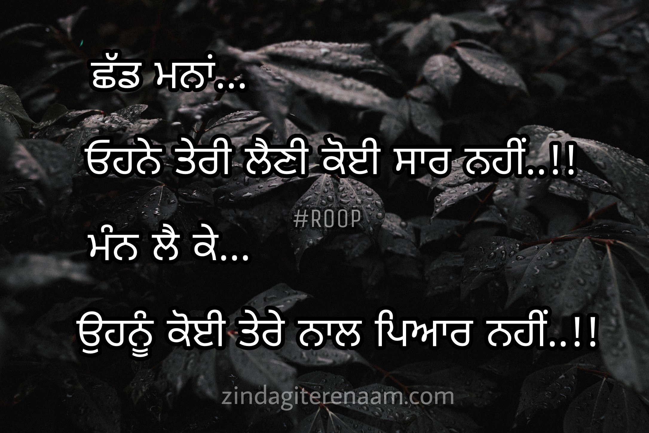 true-love-punjabi-best-sad-shayari-images-love-true-lines-mohobbat-ishq