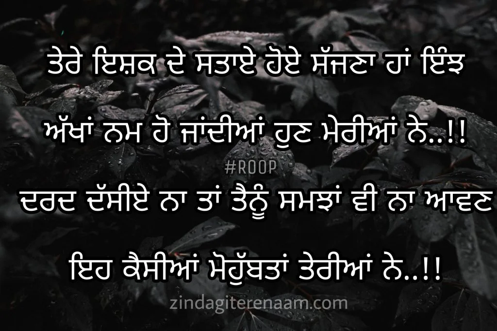True love shayari images. Punjabi shayari images. Best shayari images. Mohobbat shayari images.
Tere ishq de staye hoye sajjna haan injh
Akhan nam ho jandiyan hun meriyan ne..!!
Dard dassiye Na ta tenu samjha vi Na aawn
Eh kaisiyan mohobbtan teriyan ne..!!