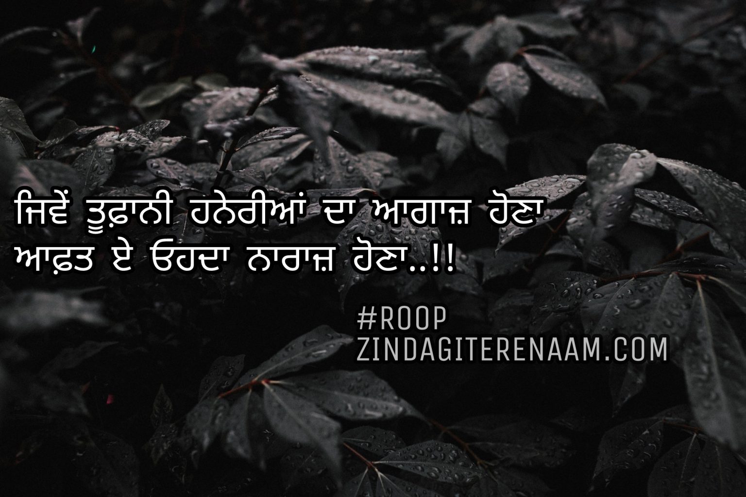 Aafat e || best Punjabi shayari images || two line shayari - Zindagi