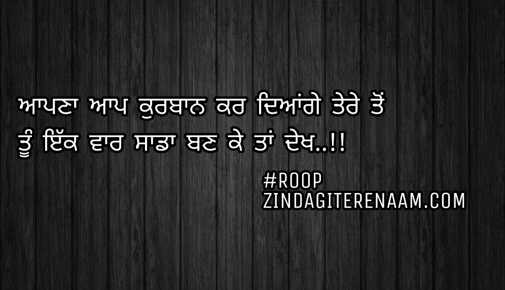 Love Punjabi shayari/true love Punjabi status/shayari images/best shayari images/Aapna aap kurban kar deyange tere ton
Tu ikk var sada ban ke taa dekh..!!