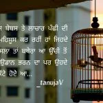 Honsla ta bthera Lachaar panchhi || Punjabi shayari pic
