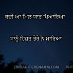 2 lines sad love birha shayar punjabi || bulleh shah