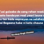 Tusi gulaaba de || Love Punjabi shayari