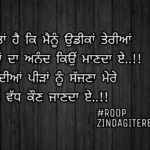 Tere ton vadh kon || true love shayari || sad in love