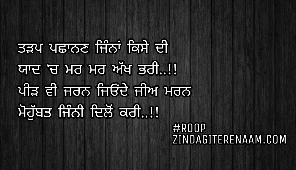 True line shayari || best shayari || Tadap pachanan jinna kise di
Yaad ch mar mar akh bhari..!!
Peedh vi jarn jionde jee marn
Mohobbat jinni dilon Kari..!!