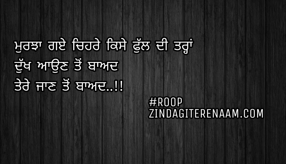 Sad Punjabi shayari || true but sad shayari ||
Murjha gaye chehre kise full di trah
Dukh aun ton baad
Tere jaan ton baad..!!
