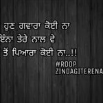 Tere ton pyara koi na || true love shayari || love you