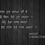 Tere naal jiona || true love Punjabi shayari || Punjabi status