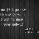 Parwahan hundiyan || Punjabi shayari || best Punjabi status