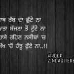 Sath rabb da shutte na || true line shayari || punjabi status