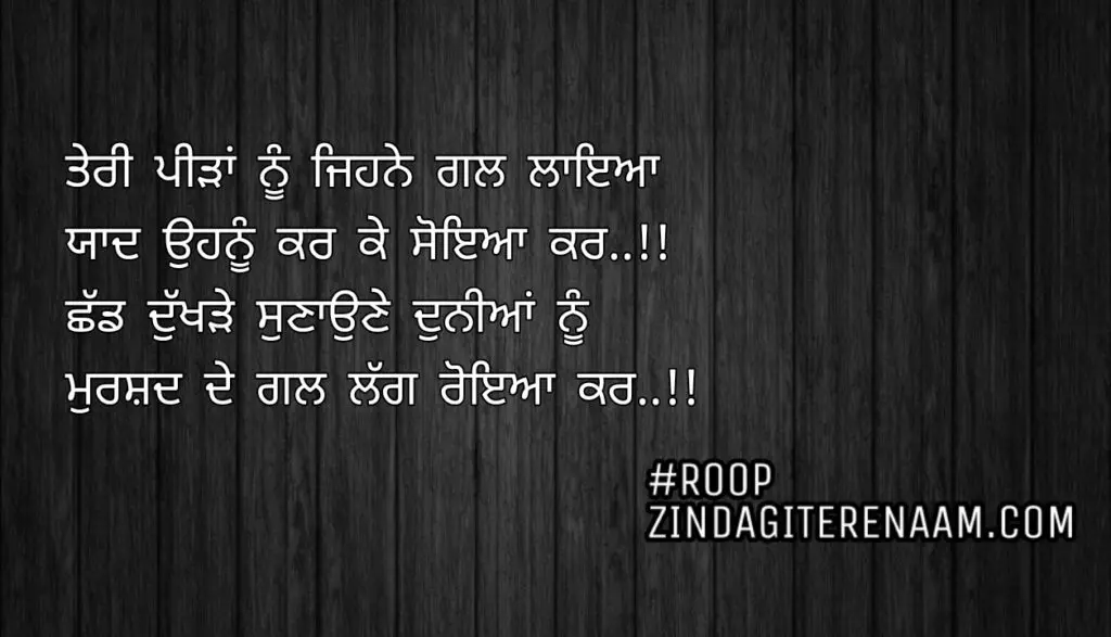 True line shayari || Teri peedhan nu jihne gal layeya
Yaad ohnu kar k soyia kar..!!
Shad dukhde sunaune duniya nu
Murshad de gal lag royia kar..!!
