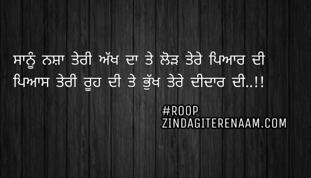 Love shayari || Sanu nasha teri akh da te lod tere pyar di
Pyas teri rooh di te bhukh tere deedar di..!!