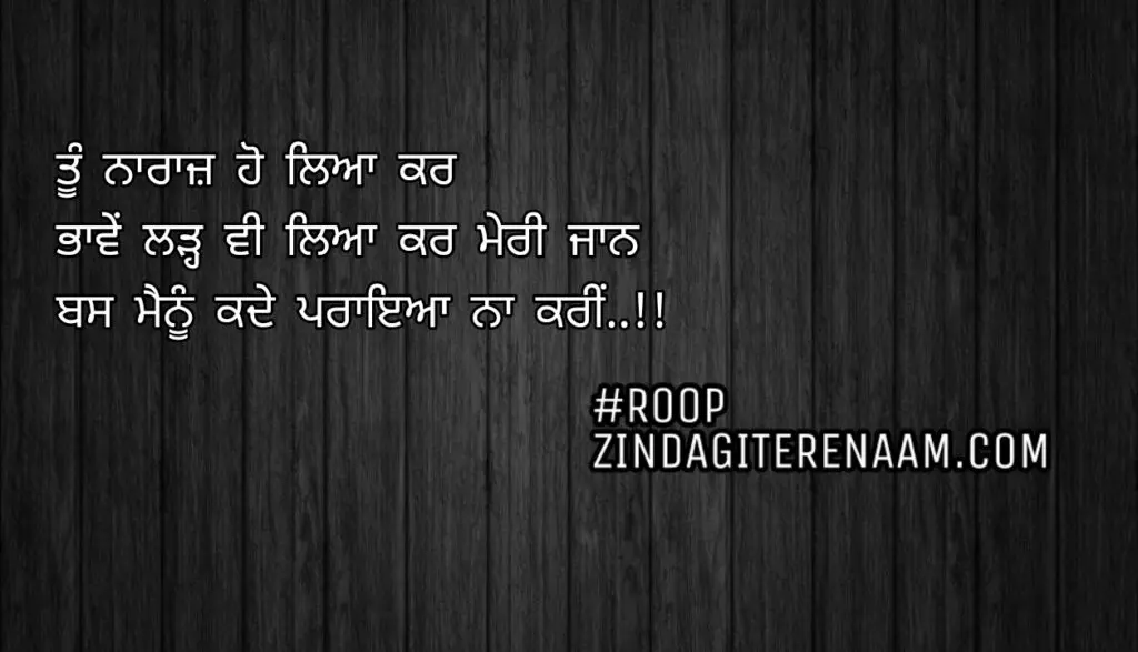 Ghaint status || Tu naraaz ho leya kar
Bhawein ladh vi leya kar meri jaan
Bas menu kade praya na kari..!!
